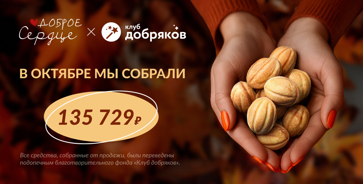 Итоги благотворительности октября